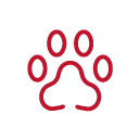 NAtureza e CUIDADO ANIMAL